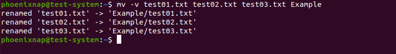Enabling verbose command output with the -v option