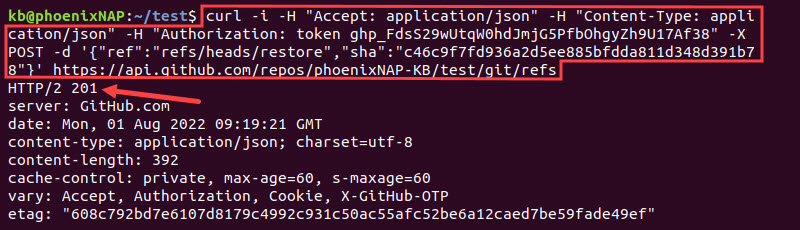 curl restore repository response 201 terminal output