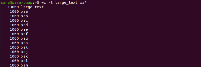 wc l large-text terminal output